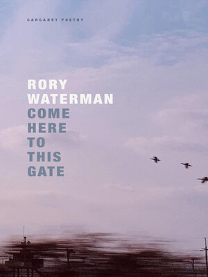 cover image of Come Here to This Gate